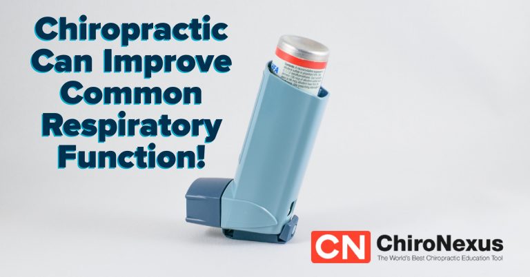 Read more about the article Chiropractic Care Can Improve Respiratory Function